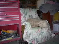 F02442FA-F73A-B0EB-0561059C5321284C.webp