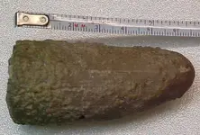 12 side tusk 2.webp