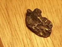 100_0993nugget.webp