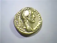 antoninus super aver.webp