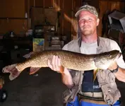 Wolf River 35 inch Northern Pike.webp