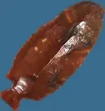 waller%20knife_psd.webp