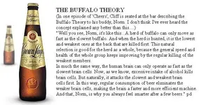 buffalo_and_beer_theory.webp