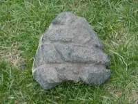 Copy of DSC000289.webp
