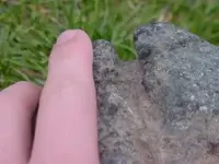 Copy of finger one.webp