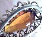 10.webp