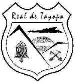 Tayopa Logo?.jpg