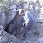 Dog sniffin around fer goldJPG.webp
