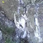 Big Quartz Vein.webp