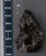 Raw Ore after heat test w molten droplets.webp