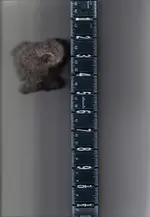 molten ore 2.webp