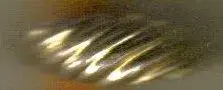 03-19-2006 08;16;21PM.webp