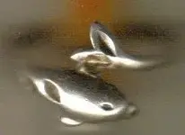 03-19-2006 08;05;18PM.webp