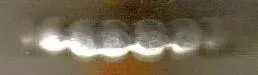 03-19-2006 08;09;55PM.webp