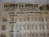 DSCF4305.webp