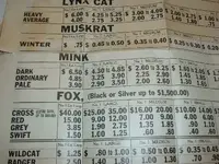 DSCF4306.webp