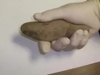 rock2.webp