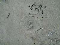 beach1.webp