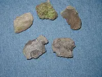 P3290344 (Small).webp
