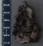 Raw Ore 2 after heat test w molten droplets.webp