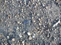 tri 091 (824 x 618).webp tri 091 (824 x 618).webp