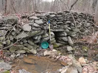 Metal Detecting_Gold 001b.webp