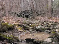 Metal Detecting_Gold 010b.webp