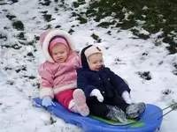 sledding.webp