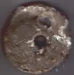 Weight-Medallion2.webp