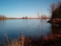cabin shots 006.webp