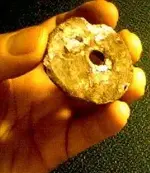 Weight-Medallion7.webp