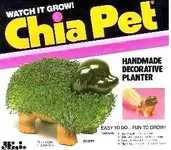 chia.webp