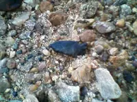 0201091718[1].webp