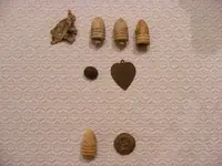 DSCF0314.webp