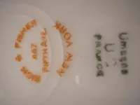 plates 003.webp