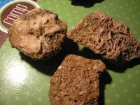 tailingrock 005.webp