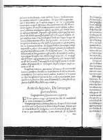1628-23.webp