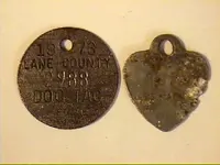 Nov13-2008dogTAGS.webp
