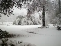 Snow4.webp Snow4.webp