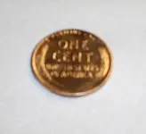 1955 wheat 01.webp