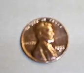 1955 wheat 02.webp
