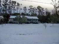 White Christmas.webp