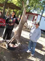 100_0666.webp