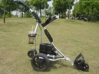 Remote-Control-Golf-Cart-HMR-602-.webp
