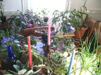 IMG_1193.webp