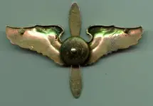 aafcadethatbadgebcklg.webp
