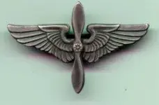 aafofficercollarwingfrtsm.webp