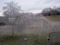 tmpphpU1YYxZ.webp