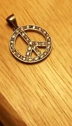 100_0981peace.webp