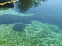 DSCF0133.webp